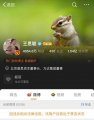 王思聪微博被禁言 网友表示可以买下微博了